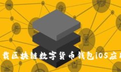 如何安全下载区块链数字货币钱包iOS应用：全面