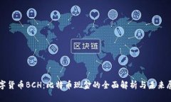 数字货币BCH：比特币现金的全面解析与未来展望