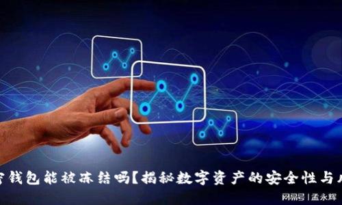 加密钱包能被冻结吗？揭秘数字资产的安全性与风险