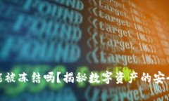 加密钱包能被冻结吗？揭秘数字资产的安全性与
