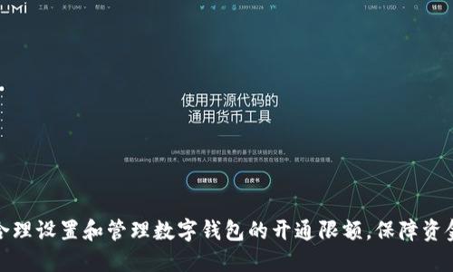 如何合理设置和管理数字钱包的开通限额，保障资金安全
