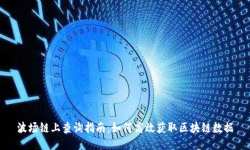 波场链上查询指南：如何高效获取区块链数据