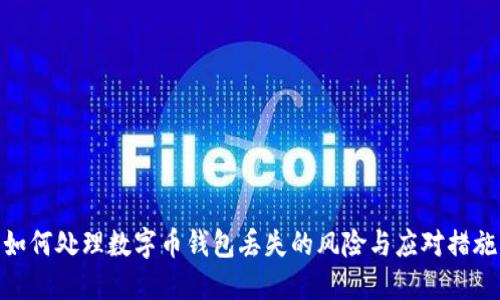 如何处理数字币钱包丢失的风险与应对措施