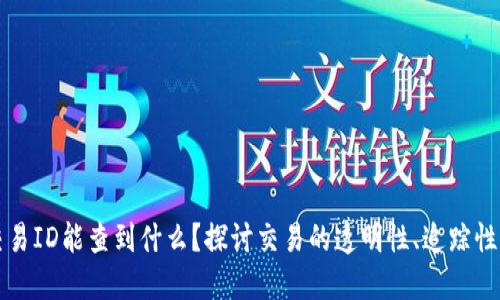 区块链交易ID能查到什么？探讨交易的透明性、追踪性与安全性