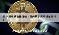 中国数字钱包的优势与未来发展