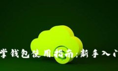 区块链仙人掌钱包使用指南：新手入门与操作详