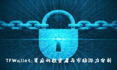 TPWallet：背后的投资者与市场潜力分析