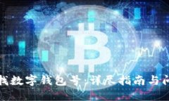 如何查找数字钱包号：详尽指南与问题解答