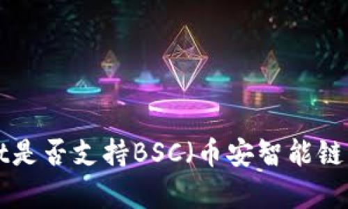 TokenPocket是否支持BSC（币安智能链）的全面分析