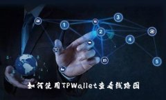 如何使用TPWallet查看线路图
