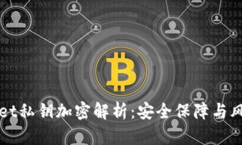 TPWallet私钥加密解析：安全保障与风险管理