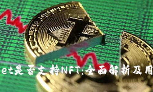 TPWallet是否支持NFT：全面解析及用户指南